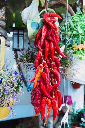 Colorful home exterior decoration with bunch of bright red chili peppers and flowersの写真素材