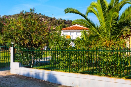Summer vacation background with palm trees and white house with red roof in Greece islandの写真素材