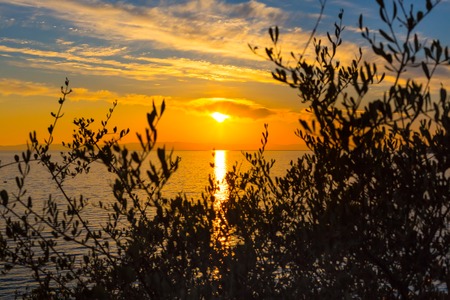 Golden sunset over sea in Greece coast through tree branchesの写真素材