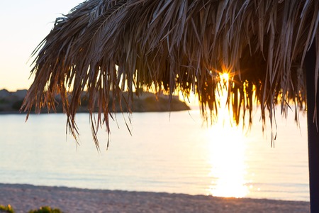 Sunset photo of beach tropical palm umbrella closeup and sun raysの写真素材