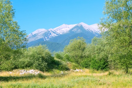 Summer panorama of georgeos Pirin mountains landscape with pine trees and high peaks, Bansko, Bulgariaの写真素材