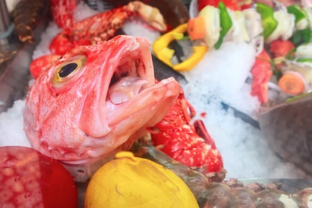 Bigeye ocean perch with ice cube on display at the store, restaurant