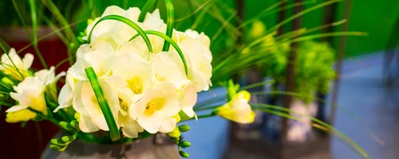 Bouquet composition of yellow alstroemeria banner panoramic, copy spaceの写真素材
