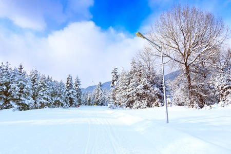 Bansko resort panoramic view with ski slope in the forest and snow trees, Bulgariaの写真素材