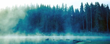 Pine trees forest stylized silhouette photo banner background with lake and fogの写真素材