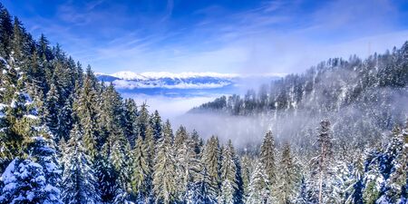 Bansko, Bulgaria winter mountains banner vacation background with snow covered pine trees aerial...