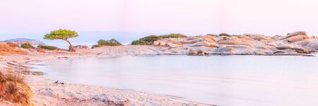 Vourvourou, Sithonia, Greece, Halkidiki, mediterranean panorama landscape of Karidi sandy beach with pine tree on coastの写真素材