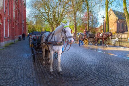 Bruges, Belgium - April 10, 2016: Fiaker with white horse waiting for tourists in popular belgian destination Bruggeのeditorial素材