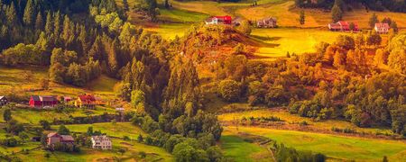Norway banner background, Sunset norwegian village landscape, green forest mountains and colorful housesの写真素材