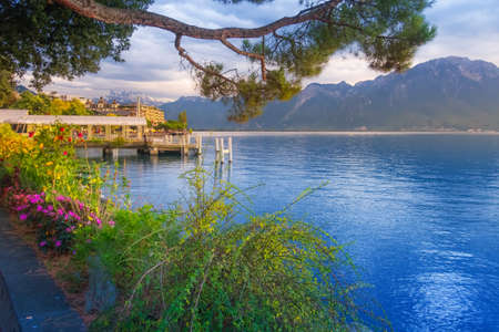 Panoramic sunset view of Lake Geneva, Switzerland from Montreux promenade with colorful flowers, mountains behindの写真素材