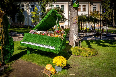 Green leaves grand piano and autumn landscape design in the garden. Music and landscape design conceptの写真素材