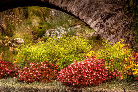 Stone arch with autumn plants and flowers