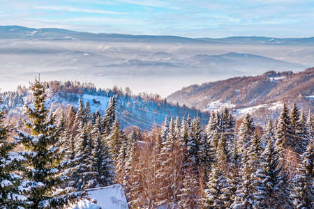 aerial winter mountain panorama, snow treesの写真素材