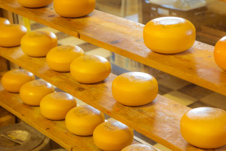 Holland cheese rounds at traditional marketの写真素材