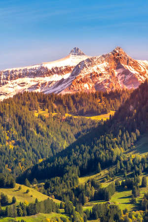 Fantastic mountains landscape in the Swiss Alps. Colorful rocks and forest treesの素材 [FY310184124223]