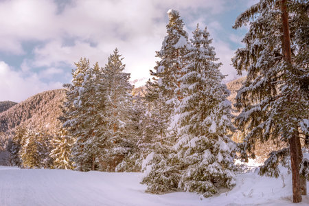 Bansko, Bulgaria, bulgarian winter ski resort panorama with groomed ski road slope and Pirin mountain peaks viewの写真素材