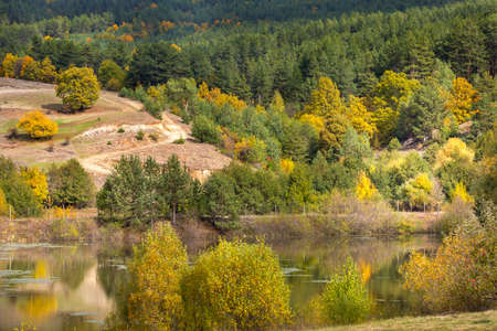 Golden magic autumn forest with colorful trees