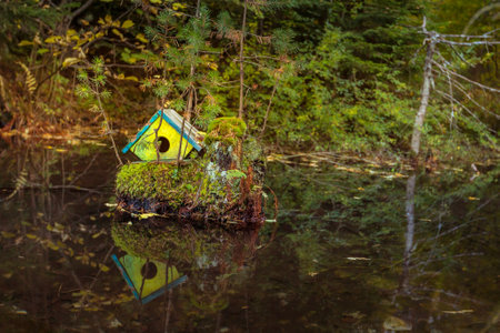 Natural pond with the small yellow and green fairy house in the middle, Bansko ski road in autumn, Bulgariaの写真素材