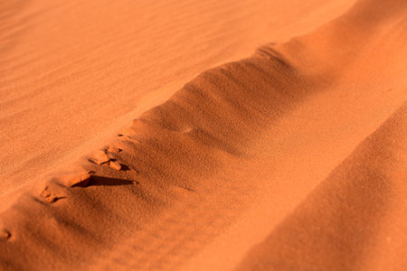 Golden desert sand sunset backgroundの写真素材