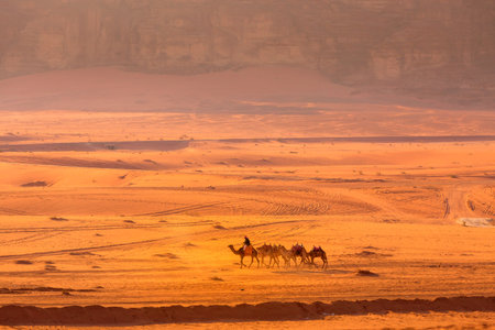 Jordan, Wadi Rum - November 2, 2022: Caravan of camels with drovers in the desert, rock mountains at sunsetのeditorial素材