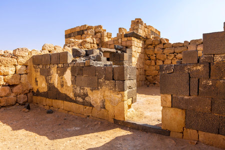 Qasr Al Hallabat desert castle, Jordanの写真素材