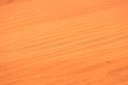 Golden orange desert sand texture background, Wadi Rum, Jordanの写真素材