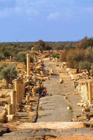 Umm Qais, Jordan - November 8, 2022: Roman road of Gadara. It is located in the north-west of the countryのeditorial素材
