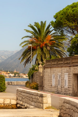 Kotor, Montenegro beautiful street view with houses and palm trees near the seaの写真素材