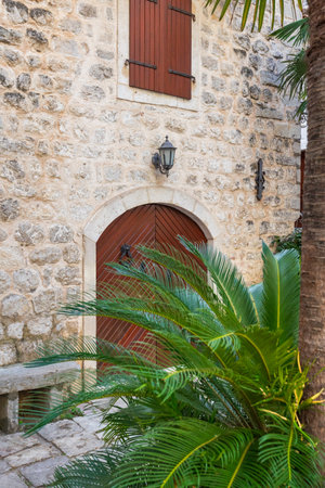 Kotor, Montenegro palm tree, house stone wall and door, empty street of the old townの写真素材