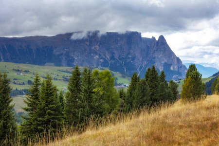 Dolomites Alpe di Siusi, Italy landscapeの写真素材