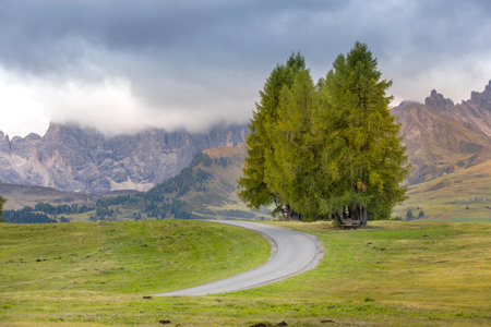 Scenic panorama of Dolomites mountain scenery with trees and road at Alpe di Siusi, South Tyrol, Italyの写真素材