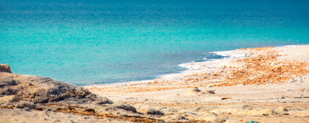 Jordan, Dead Sea coastline, salt crystals texture, high angle viewの写真素材