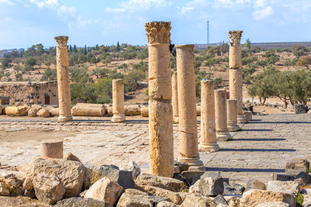 Roman road of Umm Qais Gadara in northern Jordan. It is located in the north-west of the countryの写真素材
