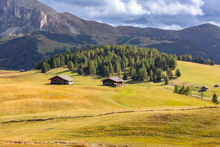 Dolomites Alpe di Siusi, Italy landscape, autumnの写真素材