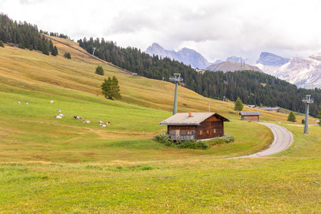 Dolomites Alpe di Siusi, Italy landscape, autumnの写真素材