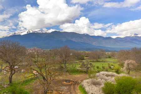 Bansko, Bulgaria spring woods and Pirin snow sunset mountain peaks, panorama of bulgarian all season resortの写真素材