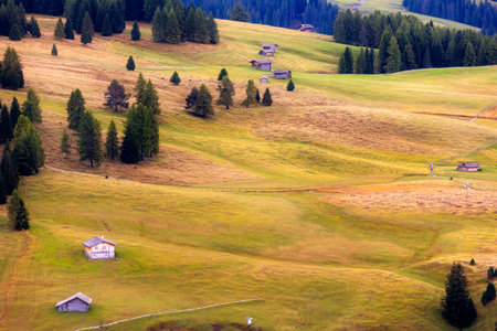 Dolomites landscape with traditional wooden huts on Alpe di Siusi or Seiser Alm, panoramic view of green rolling hillsの写真素材
