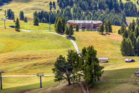 Dolomites landscape with traditional wooden huts on Alpe di Siusi or Seiser Alm, panoramic view of green rolling hillsの写真素材