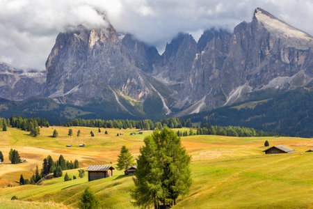 Dolomites Alpe di Siusi, Italy beautiful scenery, natural autumn landscape with valley, Sasso lungo mountain and meadowsの写真素材