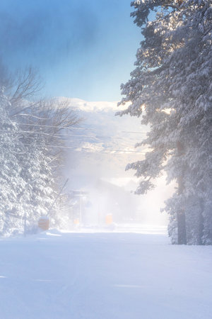Bansko, Bulgaria winter ski resort panorama with forest pine trees, ski road and snow cannonの写真素材