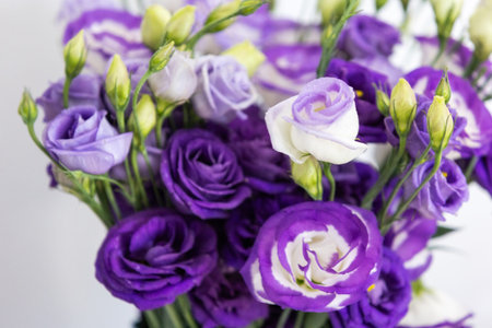 Purple rose flowers bouquet on white background