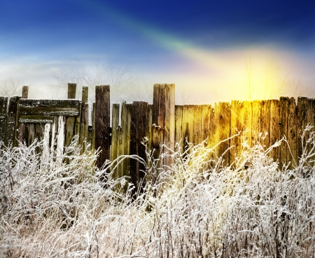 Winter fairytale snowy landscape at sunset  Card, poster, space for text の写真素材