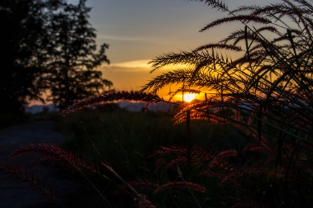 Landscape   Natureの写真素材