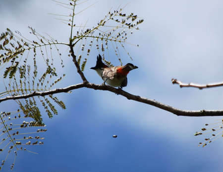 beware below  !の写真素材
