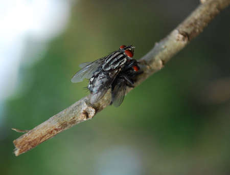 explicit の写真素材