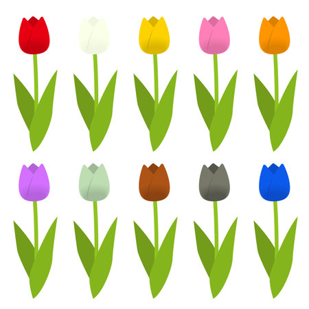 Colorful tulip illustration setのイラスト素材