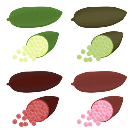 Finger Lime Illustration Setのイラスト素材