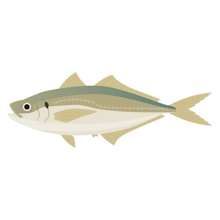Illustration of carpのイラスト素材