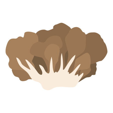Maitake mushroom illustrationのイラスト素材