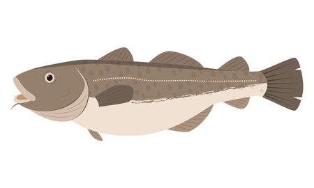 Illustration of Taraのイラスト素材